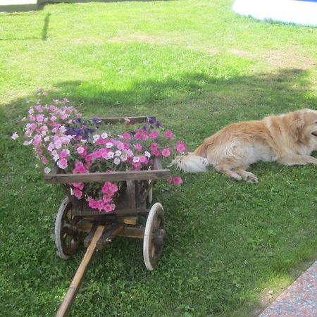 Villa L'Aida Canazei Kültér fotó