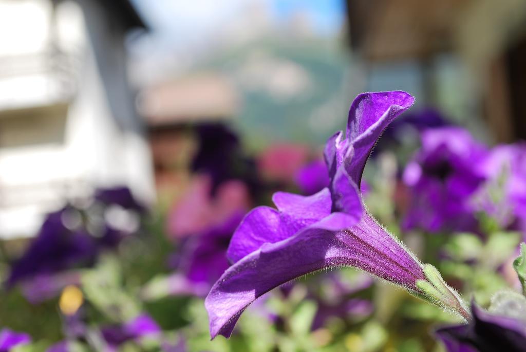 Villa L'Aida Canazei Kültér fotó